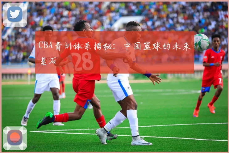 CBA青训体系揭秘:中国篮球的未来基石