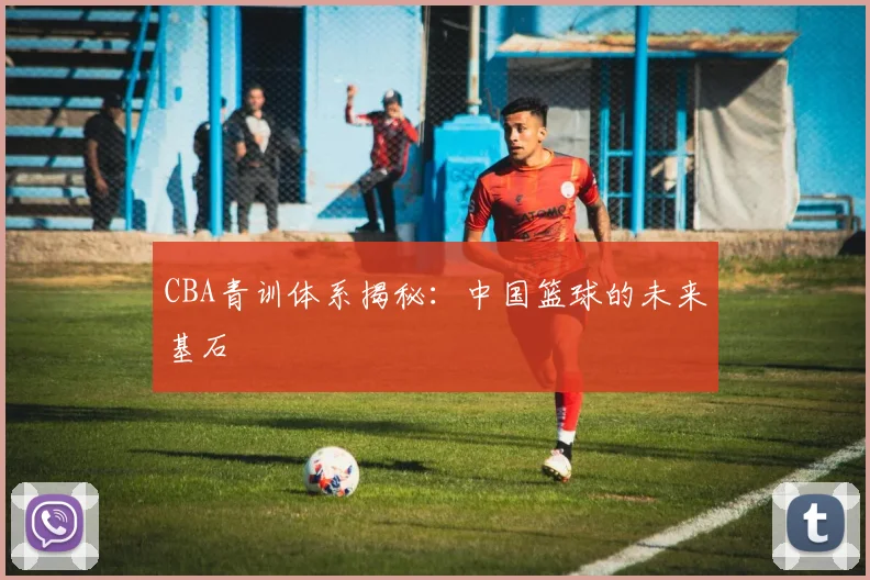 CBA青训体系揭秘:中国篮球的未来基石